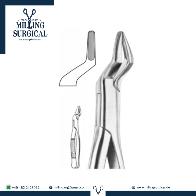 Extracting Forceps 1_042