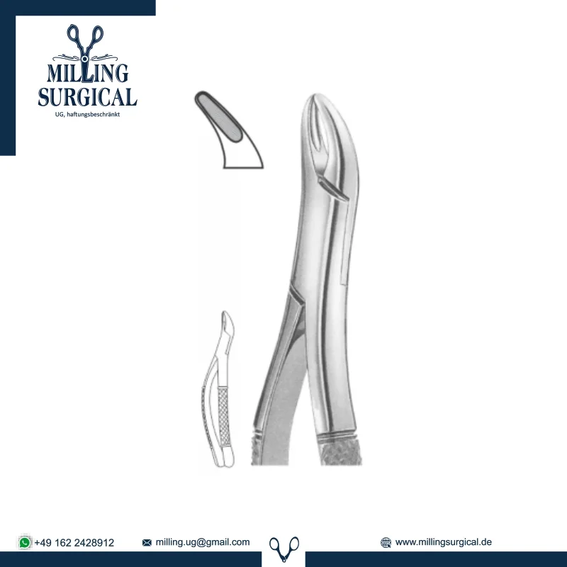Extracting Forceps 1_047