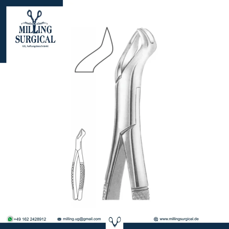 Extracting Forceps 1_054
