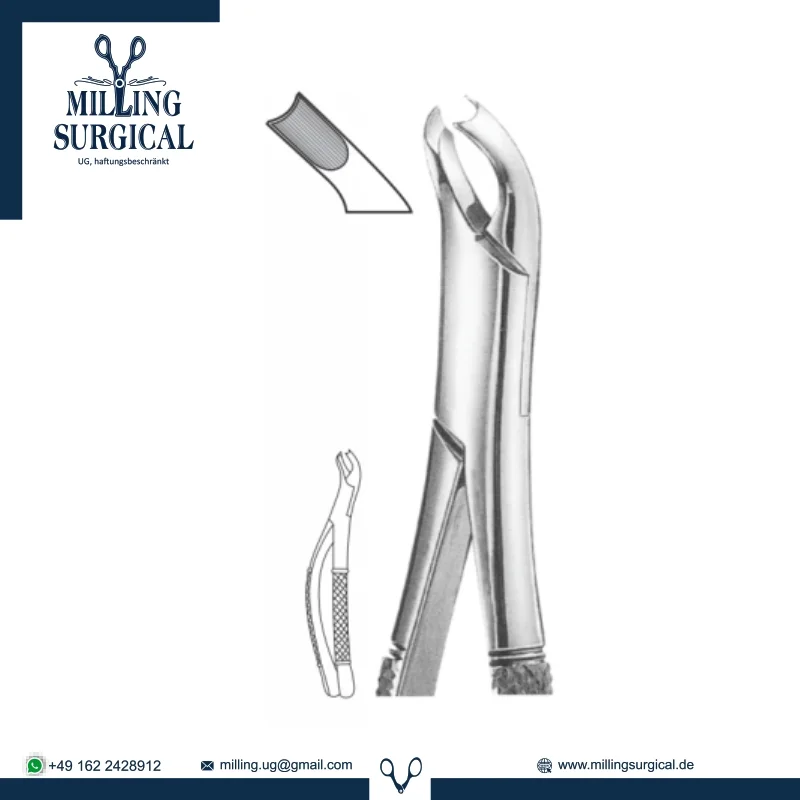 Extracting Forceps 1_055