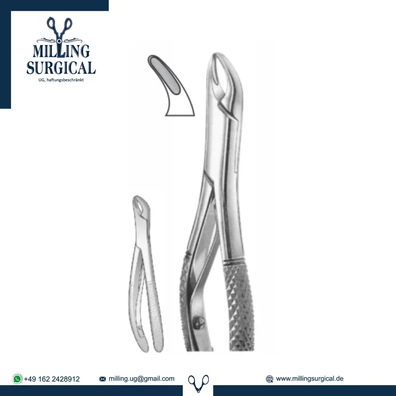 Extracting Forceps 1_095